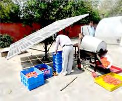 Solar power operated vegetable seed extractor (Tomato) powered seed extractor was evaluated, and the capacity achieved was 250 kg tomato per hour. 3.7.