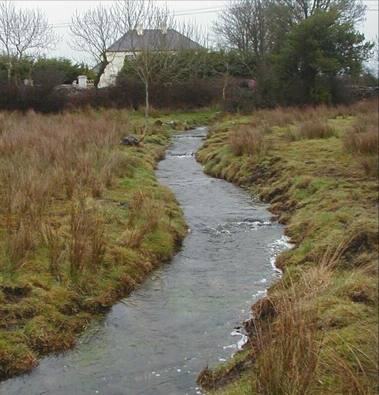 Channel redefined Stone weirs