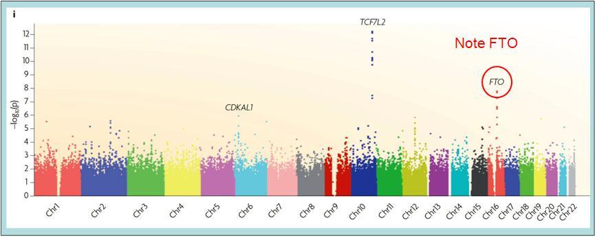 Significant associations for diabetes distributed across the human genome Figure Credit: