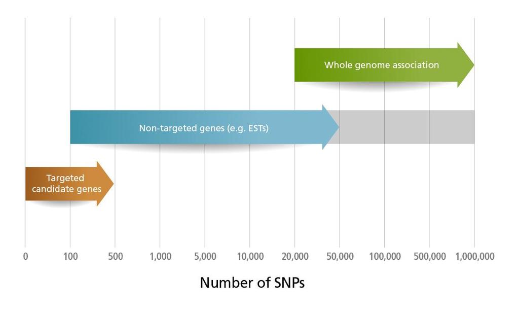 Genotyping: Potential genomic targets Figure Credit: