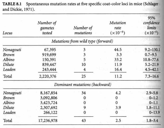 6. Forward and Backward mutation rates In a locus with two possible alleles (A( and a) ) we can consider both the forward (µ)) and the backward mutation (ν)( ) rate.