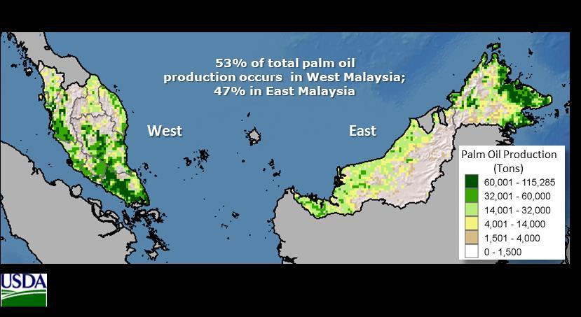 ) Malaysia Palm Oil: Record Forecast for 2017/18 Malaysia s 2017/18 palm oil production is estimated at a record 21.0 million metric tons (mmt), up 1.5 million or 8 percent from last year.