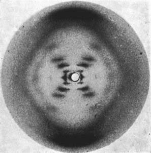 Rosalind Franklin (1953) British crystallographer, was able to photograph molecules using x-rays.