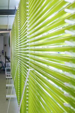 Applications - Algae growth Production of algae for fuel, pharmaceuticals and