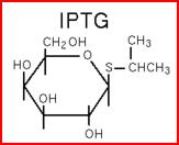 #2 Isopropyl β-d-1- thiogalactopyranoside(iptg): IPTG is used for protein expression It