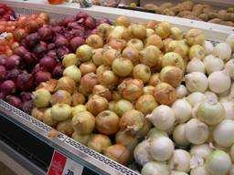 Introduction Natural Resources Institute Onions & Day Length Sensitivity Onion Sets Saving Onion Seed Onion Variety Trials Onion Storage in the Tropics Grano vs.