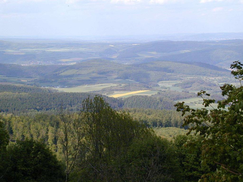 Basic data on forestry in Germany (2002) Total forest land 10.6 mio. ha (= 29.6 % of total area) (77.47 mha / = 23.6%) Total growing stock 3,380 mio m 3 (= 320 m 3 /ha!