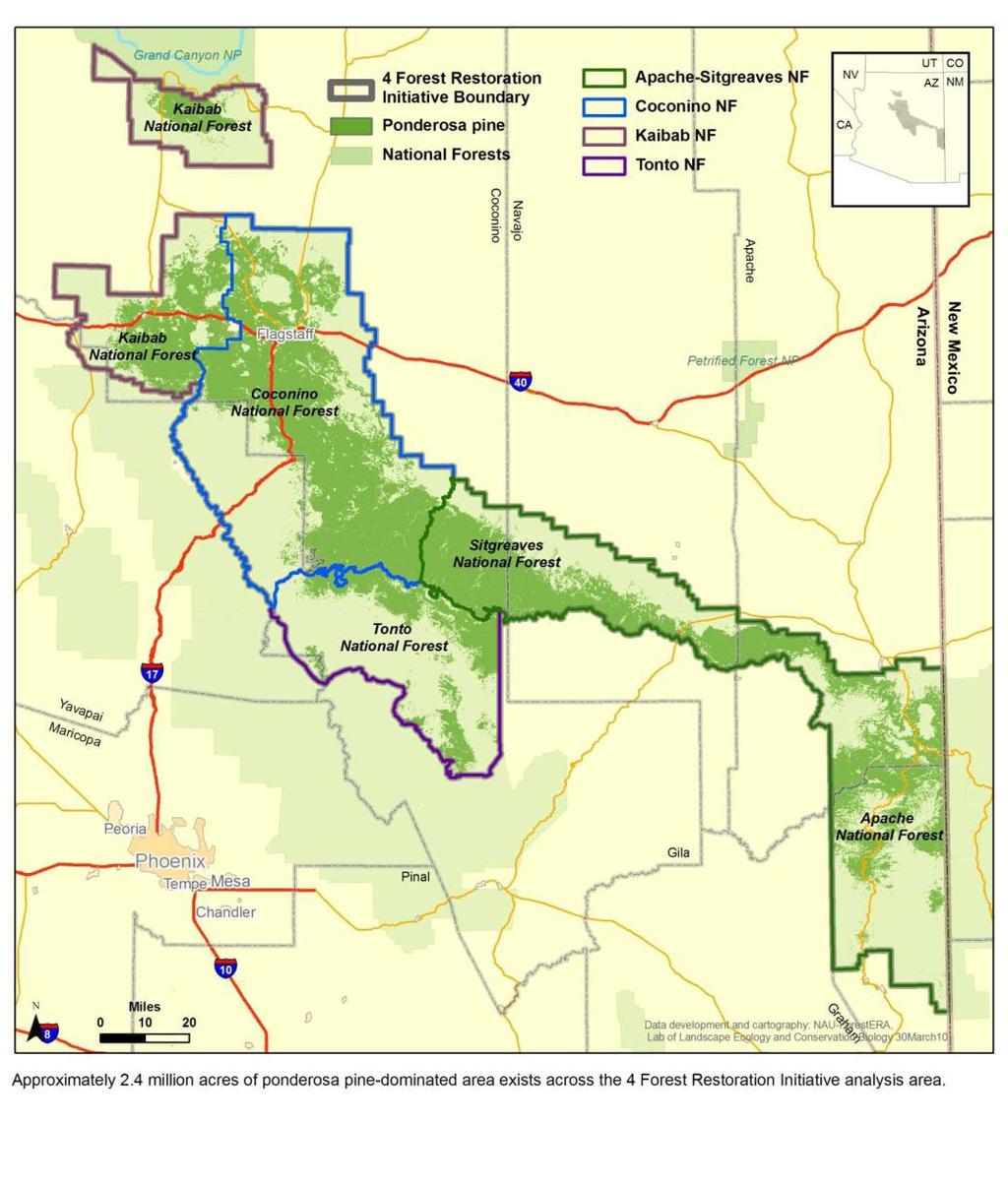 4 Forest Restoration Initiative State: Arizona Apache-Sitgreaves, Coconino, Kaibab and Tonto National Forests 2.