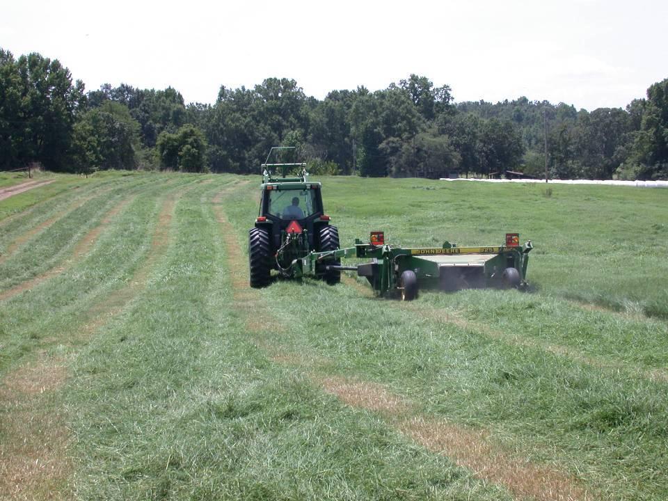 Fertilizing for Hay Nutrients removed in hay by various forages in Arkansas N P 2 O 5 K 2 O lbs removed/ton DM Bermuda 42 14 48 Fescue 36 14 48