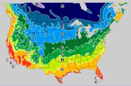 Bermudagrass Adaptation Zones Cold tolerance is the #1 selection