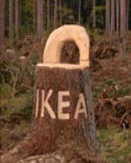 IKEA Forestry
