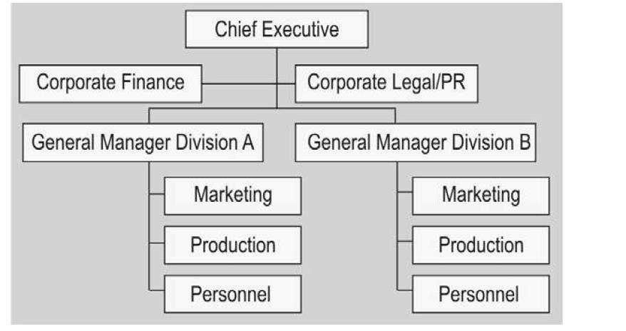 The Strategic Business Unit (SBU) Structure The SBU structure is composed of operating units where each unit represents a separate business to which the top corporate officer delegates responsibility
