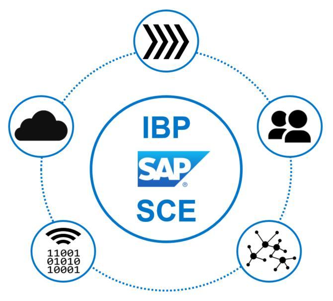 RM1 Summary Connected Supply Chain including SAP Integrated Business Planning is a strategic focus area for SAP SAP is investing heavily in supply chain solution innovation has a clear roadmap