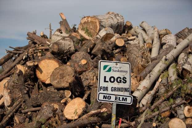 Logs for Grinding at Compost Depot In 2016, more than 51,800 vehicle visits were made to the compost depots.