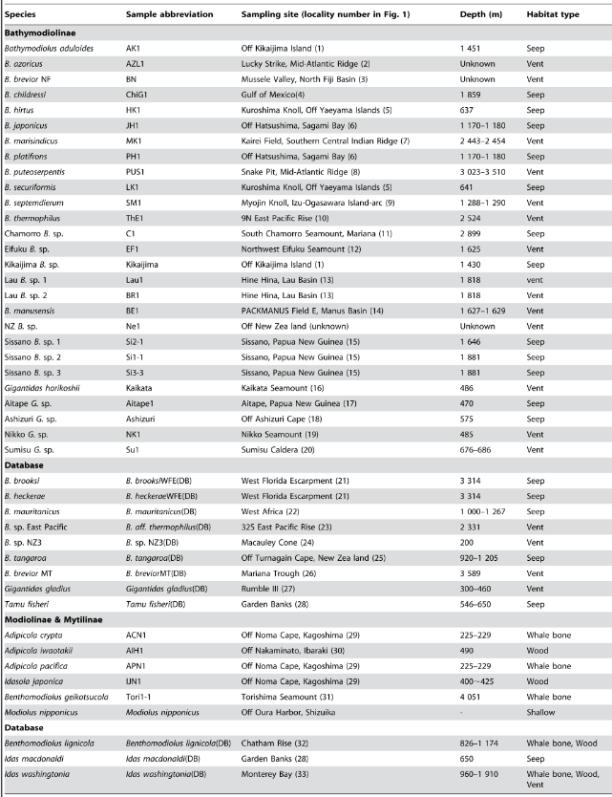 135 of 279 Table 4-19 Sample list for deep-sea Bathymodiolus mussels Other research program and studies put in evidence results that could confirm the presence of chemosynthetic communities in the