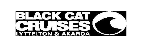 With Black Cat Cruises you will enjoy a once in a lifetime experience; it s the ultimate