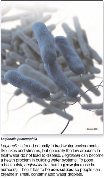 Legionella Propagation Factors within Building Water Systems* 1. Bioflilm surfaces within water systems that are constantly moist generate slime, provide food and shelter for the organism 2.