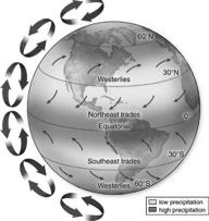 from the surface at the equator Warm air moves north and south Cooler air flows toward the equator from both hemispheres Air descends at 30 latitude-desert regions of the earth At 60 latitude air