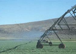 3 million irrigated acres are watered with sprinklers, including hand move, wheel move, center pivot and other types.