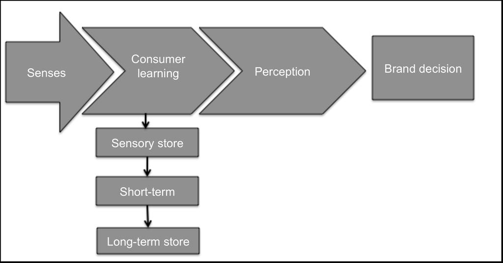 2.6). Consumer learning, with the emphasis on the cognitive learning theory, was discussed, and the next section will focus on consumer perception. Figure 2.