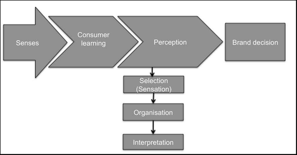 Figure 2.7 The perceptual process in consumer perception development Source: Adapted from Sheth, et al., (1999:298).