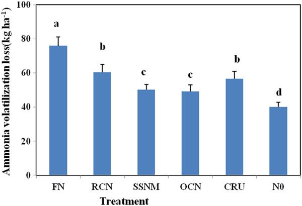 Figure 3. Ammonia volatilization losses under different N management schemes in 2010 rice season. by reduction of N application [8, 9, 11].