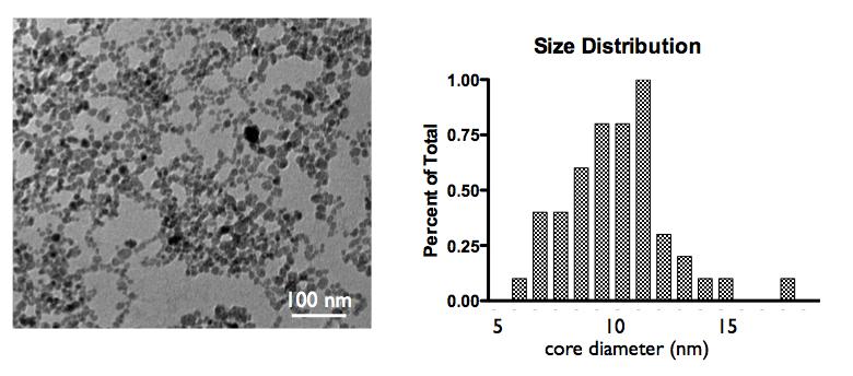 CHAPTER 4: The Use of a Targeted Iron Oxide Nanoparticle to Stratify Prostate Cancer Figure 14. TEM of aminospark nanoparticles.