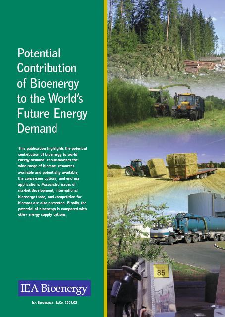 Potential Contribution of Bioenergy to