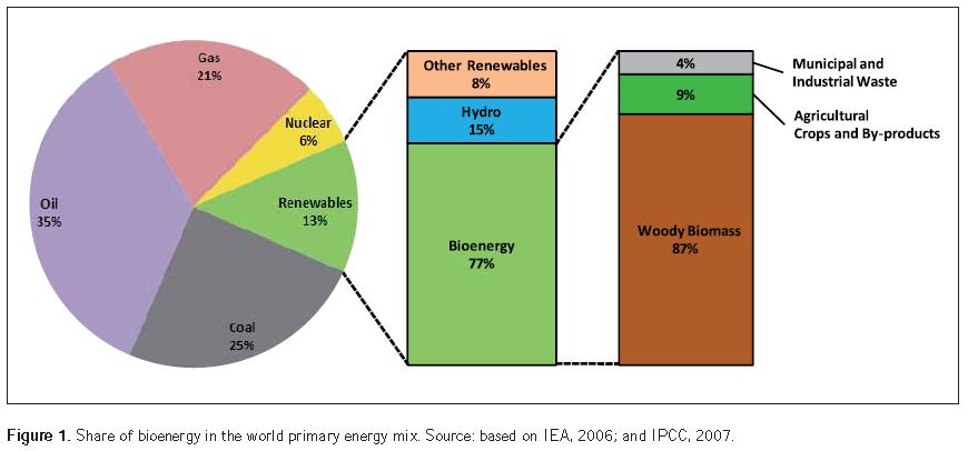 Current Status (1) Source: Bioenergy a