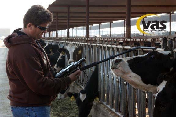 Advantages: Compliance, all cows have a time, date, method and pen stamp when scanned Accuracy, all cows are scanned, no visual reference is needed, cows are found by process of elimination not