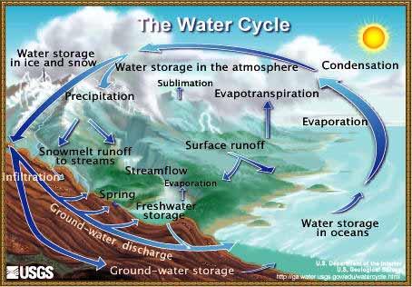 The above figure (from the USGS website) diagrams the hydrologic (water) cycle.