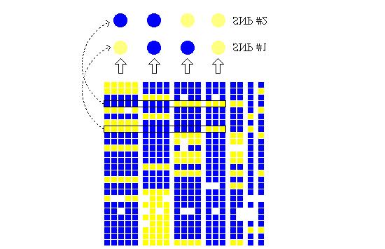 Joonis 10. Haplotüübiblokk Patil i järgi (Patil et al. 2001). Iga ruut tähistab markeri väärtust (sinine- sagedasem alleel, kollane- harvem alleel), iga tulp eraldi kromosoomi, iga rida markerit.