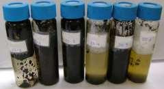 Surfactant Selection for