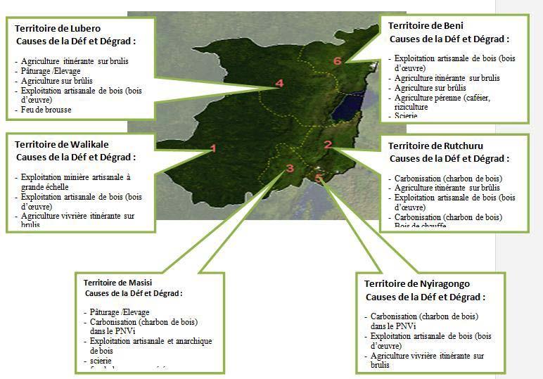 Example: DRC: Qualitative Study on Causes of deforestation in 6 Subregions, As Input into RL and MRV Design Direct causes of DD: 1. Slash and burn agriculture 2.