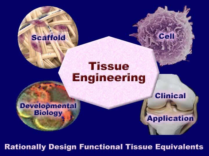 engineering compared to other therapy, basic principles of