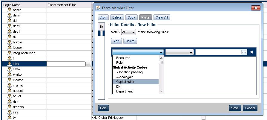 Steps to Set Up P6 Team Member Application User Access to Permitted Activities Cont.