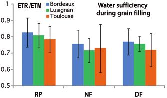 C Main impacts of climate change on sorghum in the Rainfed sorghum suffers water stress*, especially during the grain-filling phase.