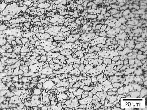 700 C). Therefore, the ZSC shows a microstructure of ferrite with carbides.