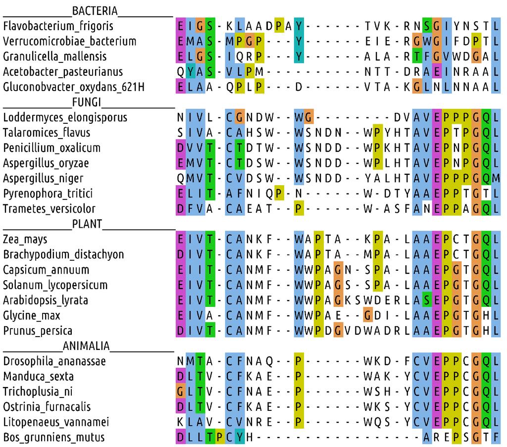 Figure S1. Part of multiple sequence alignment containing loop 1 used for phylogenetic analysis.
