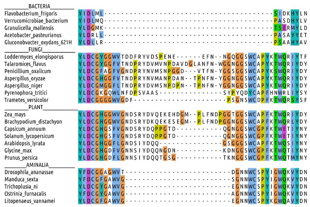Figure S2. Part of multiple sequence alignment containing loop 2 used for phylogenetic analysis.