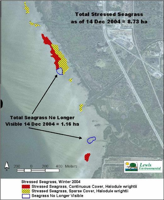 Seagrass Survey Results As of Dec 14, 2004 survey: 2.