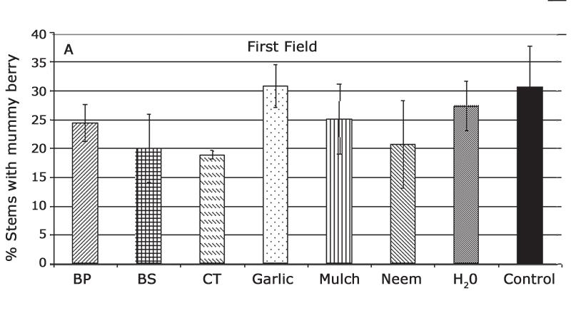 MAFES Bulletin 852 25 Figure 5A and B. Effect of organic controls on mummy berry blight in two fields in 2006.