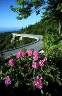 Blue Ridge Parkway Designed as scenic drive 800-1000 width actually part of
