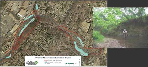 riparian Urban Forest Management Plan Designation