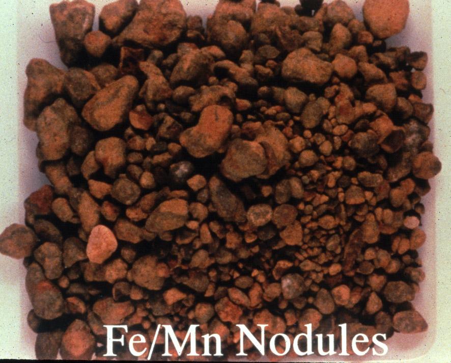 Nodules and Concretions Firm to extremely firm bodies often