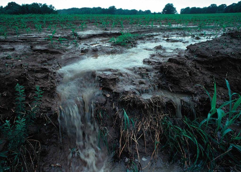 Soil Erosion 35 Degrading the soil resource decreases the water holding capacity Hudson, 1994 Available Water Content (%) 30 25 20 15 10 5