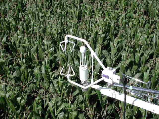 Study Site Full energy balance and plant growth measurements Measurements