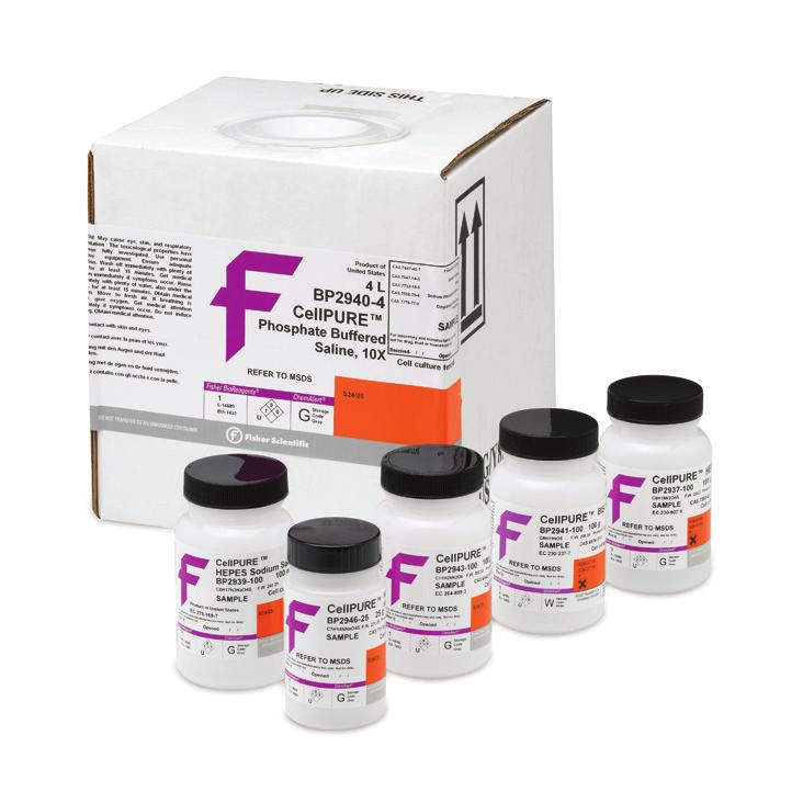 CellPURE Biological Buffers Fisher BioReagents buffers meet the needs of every budget and scale Economical powders come in various package sizes Concentrated stock solutions provide convenience in
