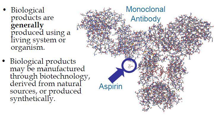 Biological Product Monoclonal Antibody