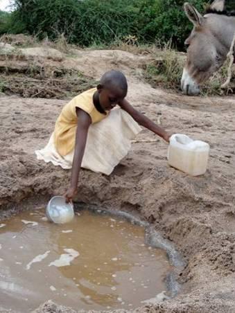 THE PROBLEM» 1 billion people do not have access to safe water» 200,000 people die each month due to unsafe water half of them children below 5 years» Project sustainability is a major challenge: